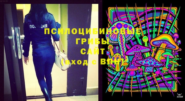 альфа пвп Алексеевка