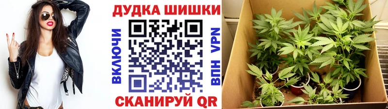 Шишки марихуана план  закладка  Курлово 